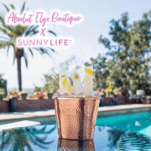 Absolut Elyx x Sunnylife Icy Martini Mould